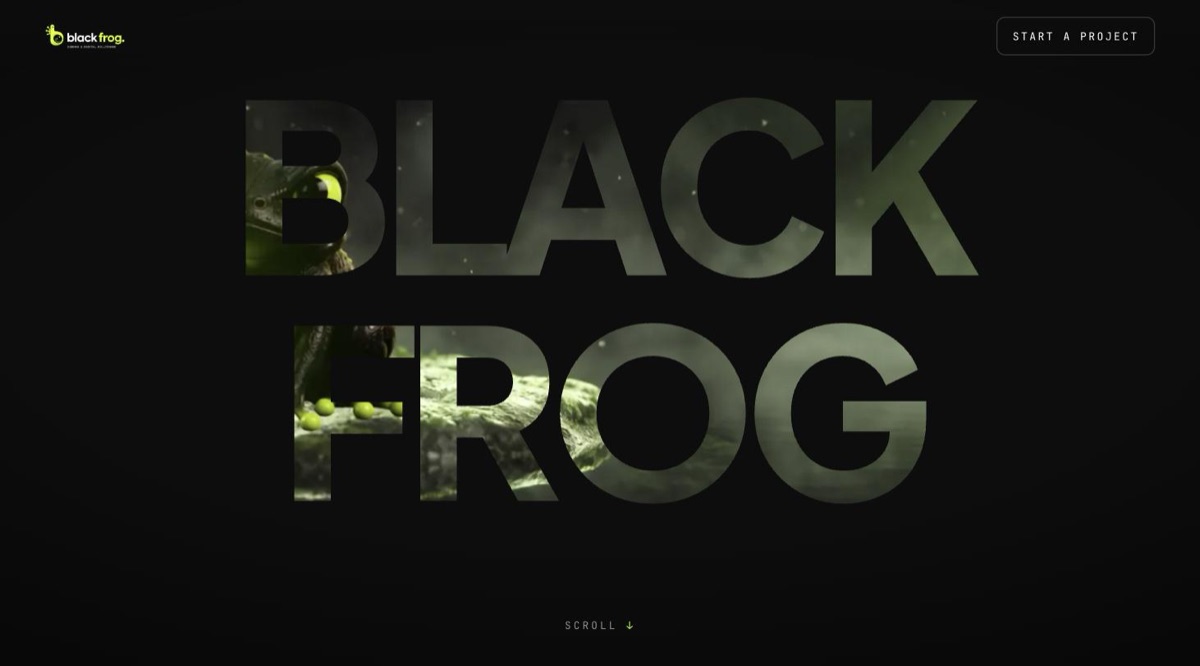 Black Frog website